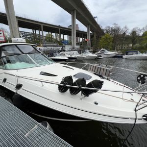 Sea Ray 305 Sundancer med Yanmar 315 HK från 2011